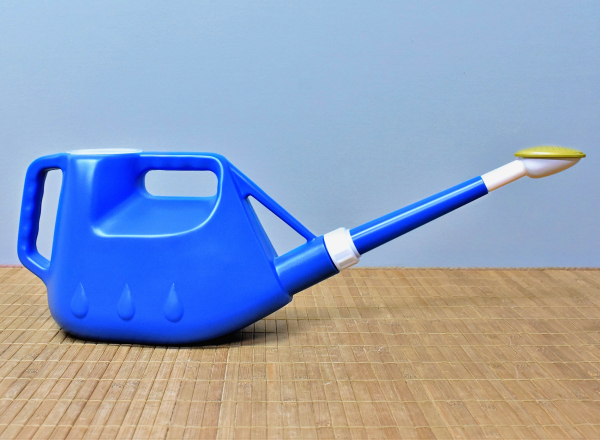 Gießkanne aus Kunststoff mit Metallbrause, 3 Liter